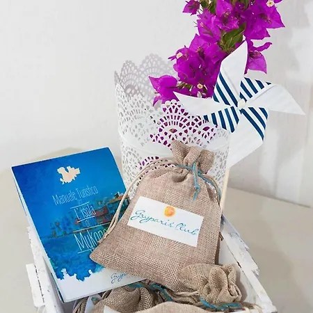 格莱帕丽斯俱乐部公寓 * Mykonos Town
